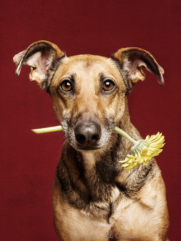 Postcard: Best wishes