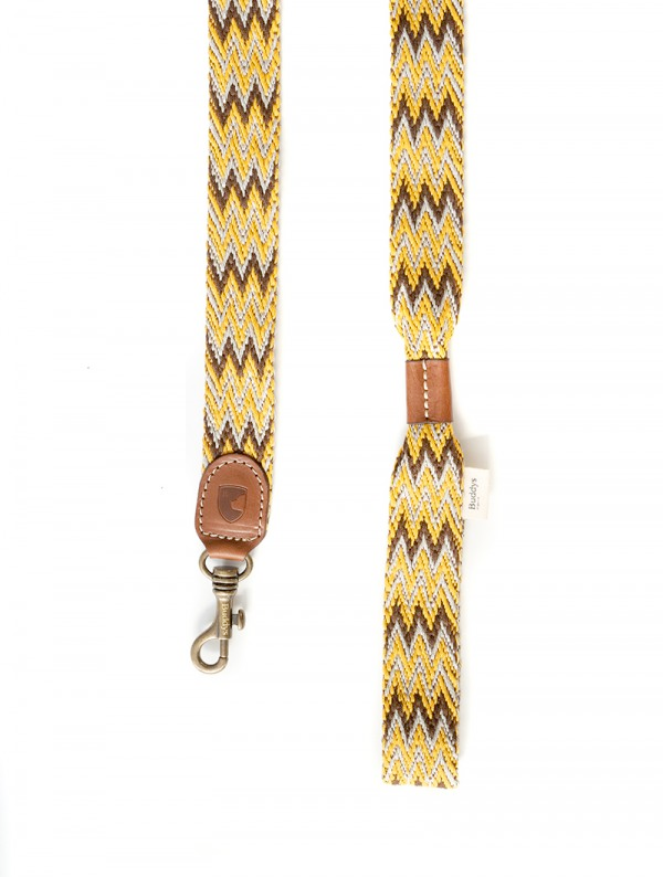 Dog Lead: Peruvian Gold