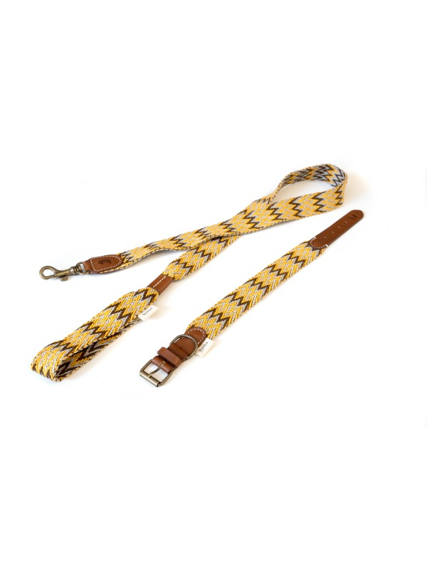 Dog Lead: Peruvian Gold