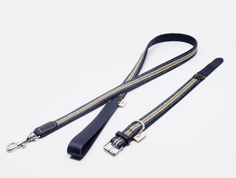 Dog Collar: Reforce Navy