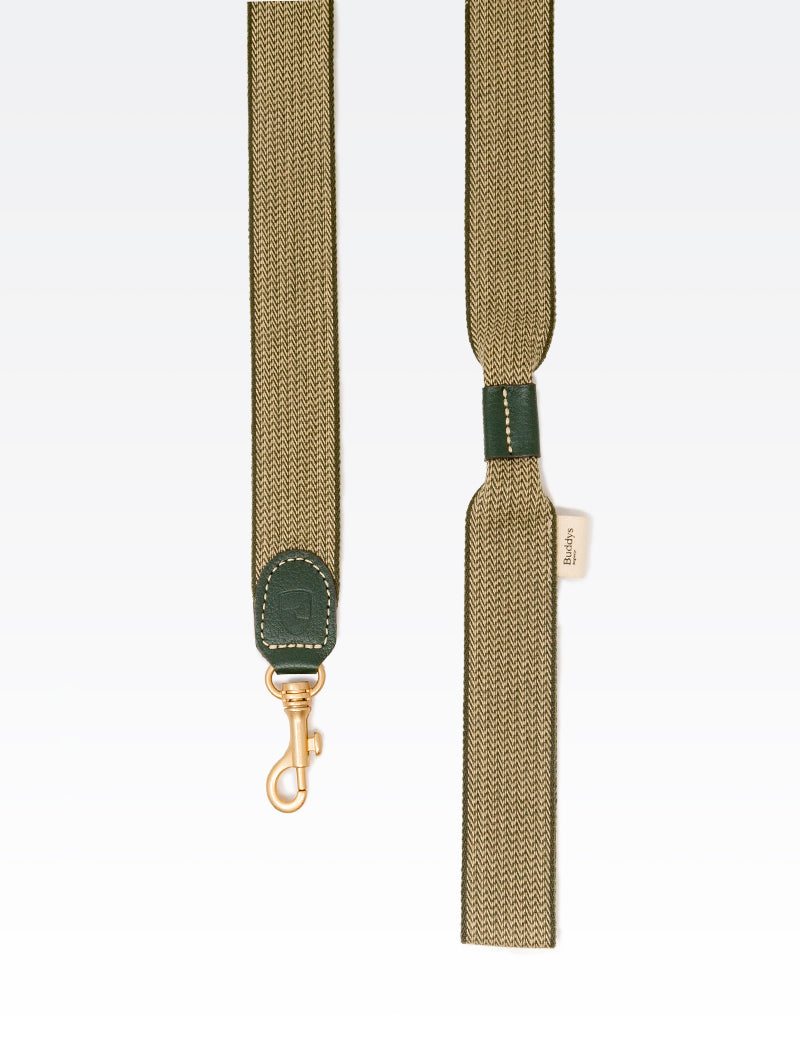 Dog Lead: James Green