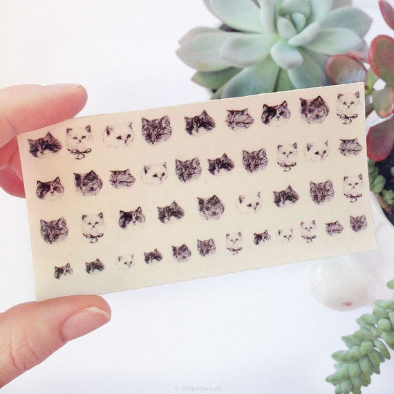 Nail transfer: Cats (FINAL SALE)