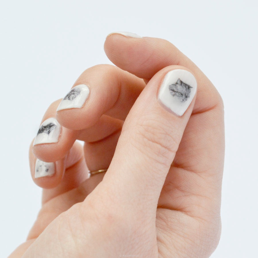 Nail transfer: Cats (FINAL SALE)
