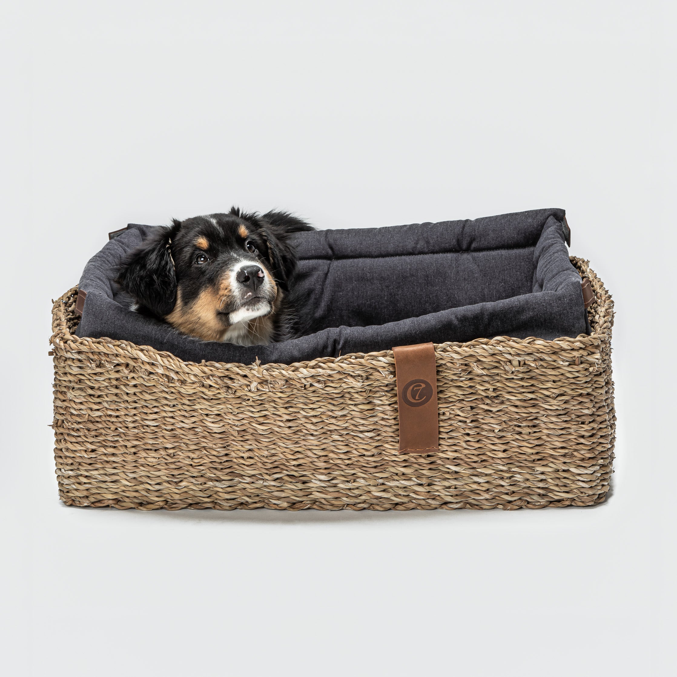 Hideaway Basket Dog Bed, Plum