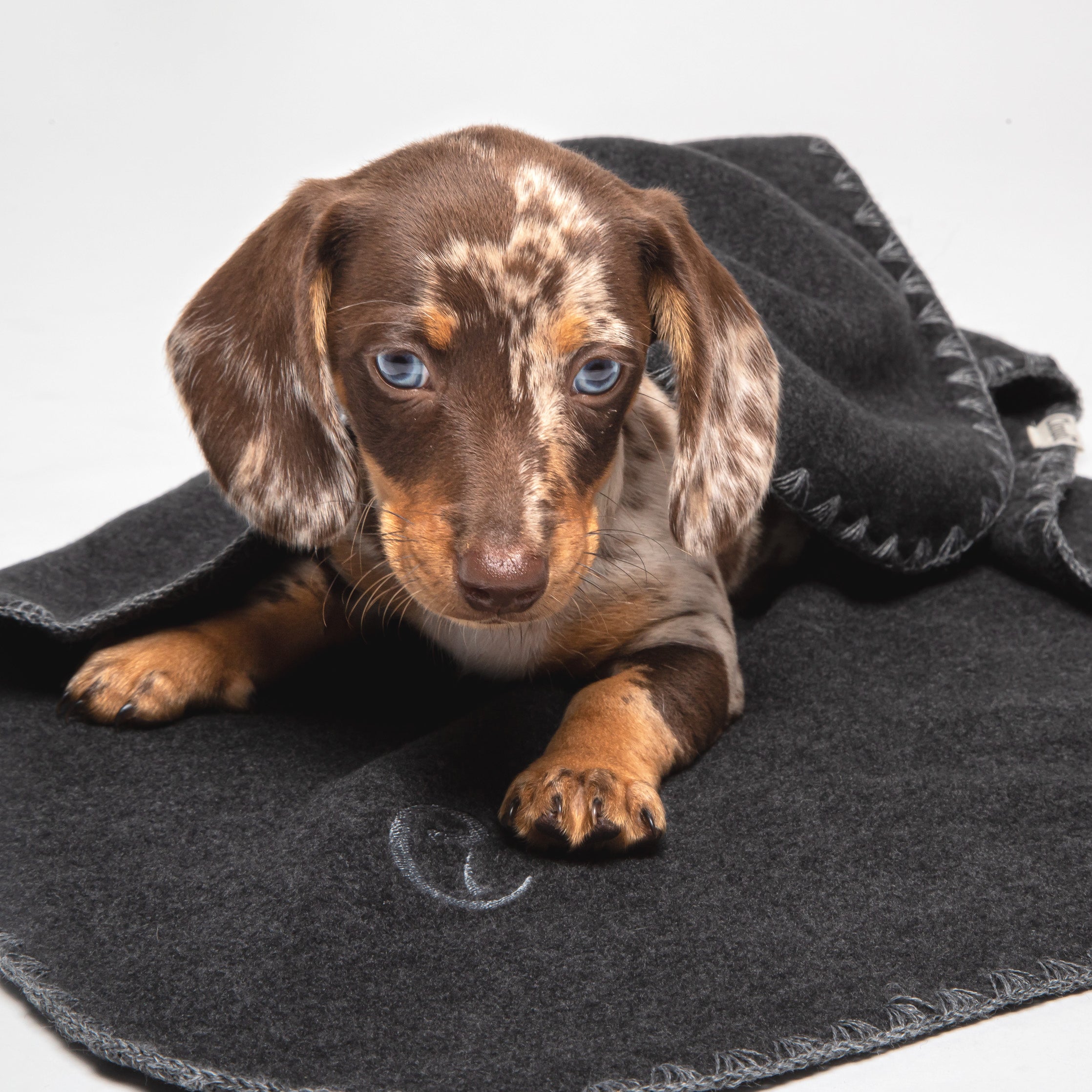 Cloud7 Dog Blanket, Soft Fleece Dark Grey