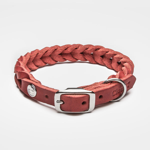 Elephant 2024 dog collar