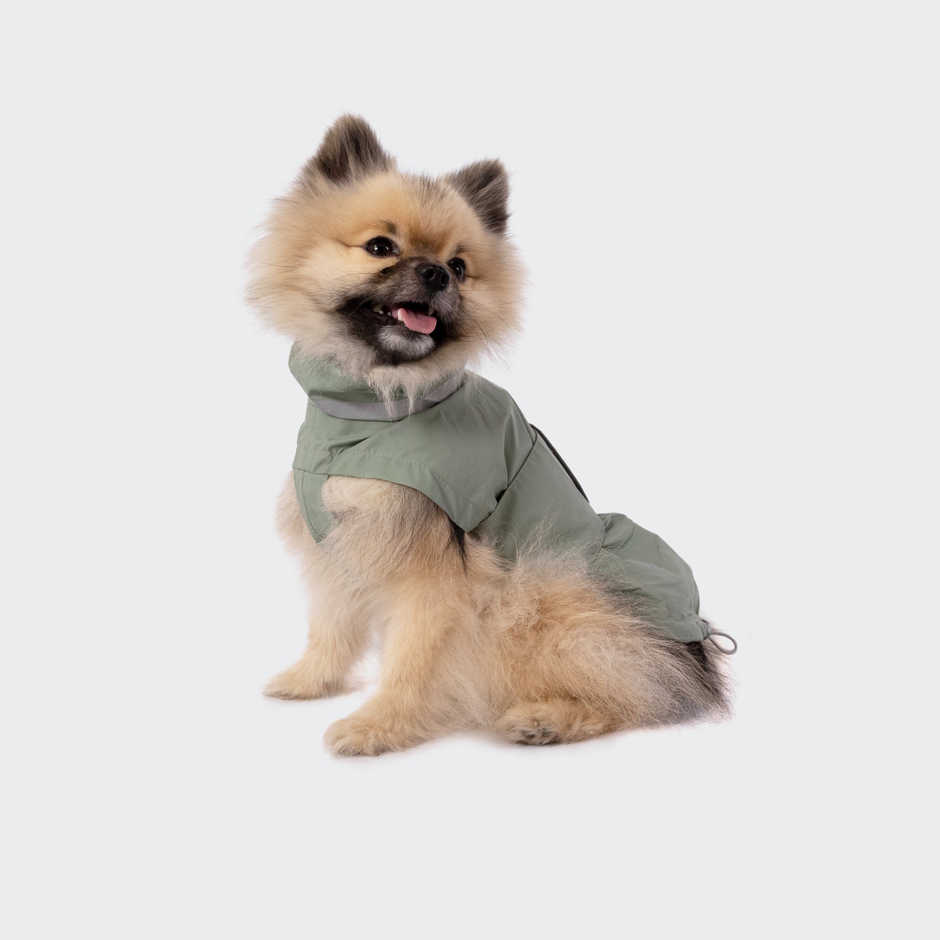 Cloud7 Dog Raincoat Hamburg Thyme Green