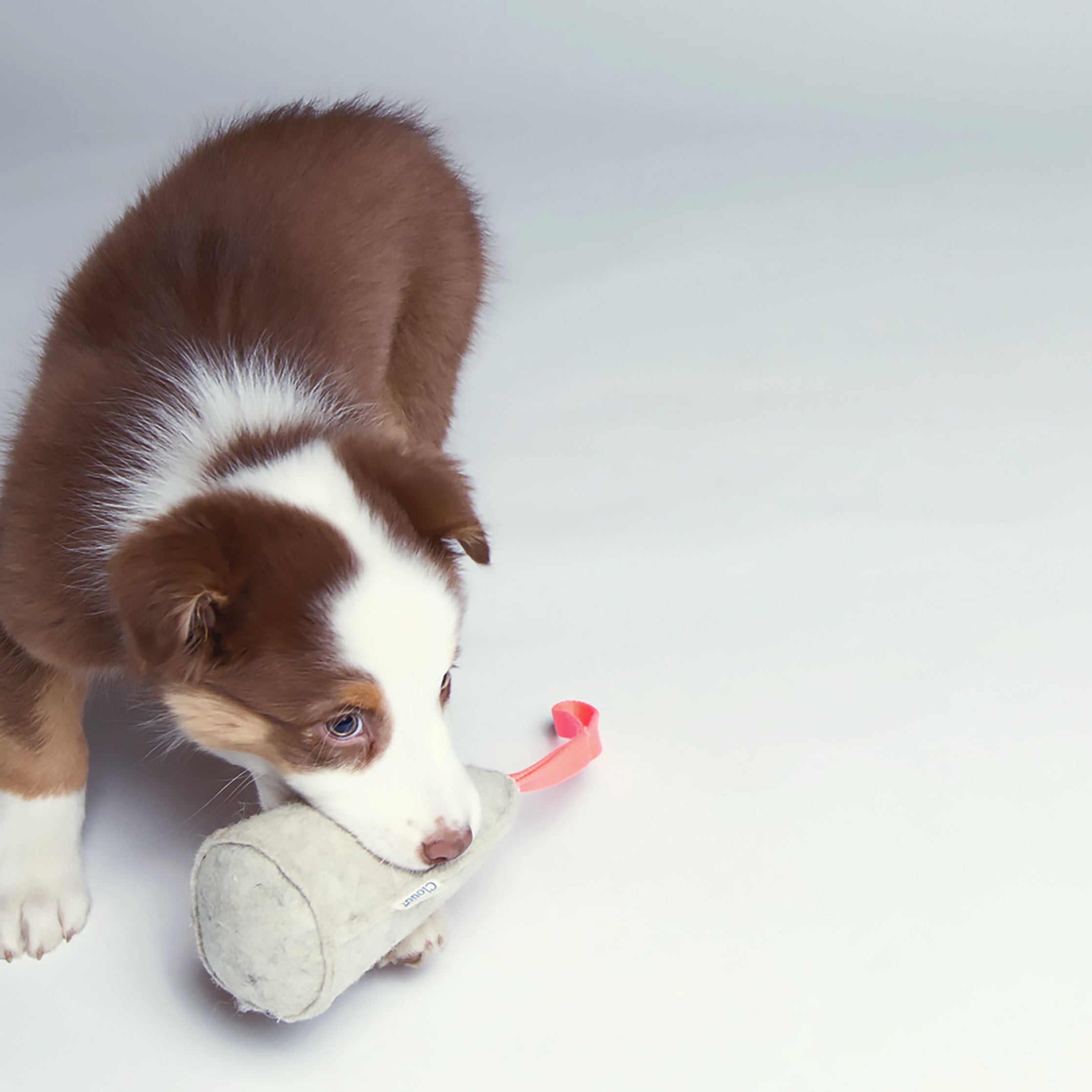 Cloud7 Dog Toy Felt Cone