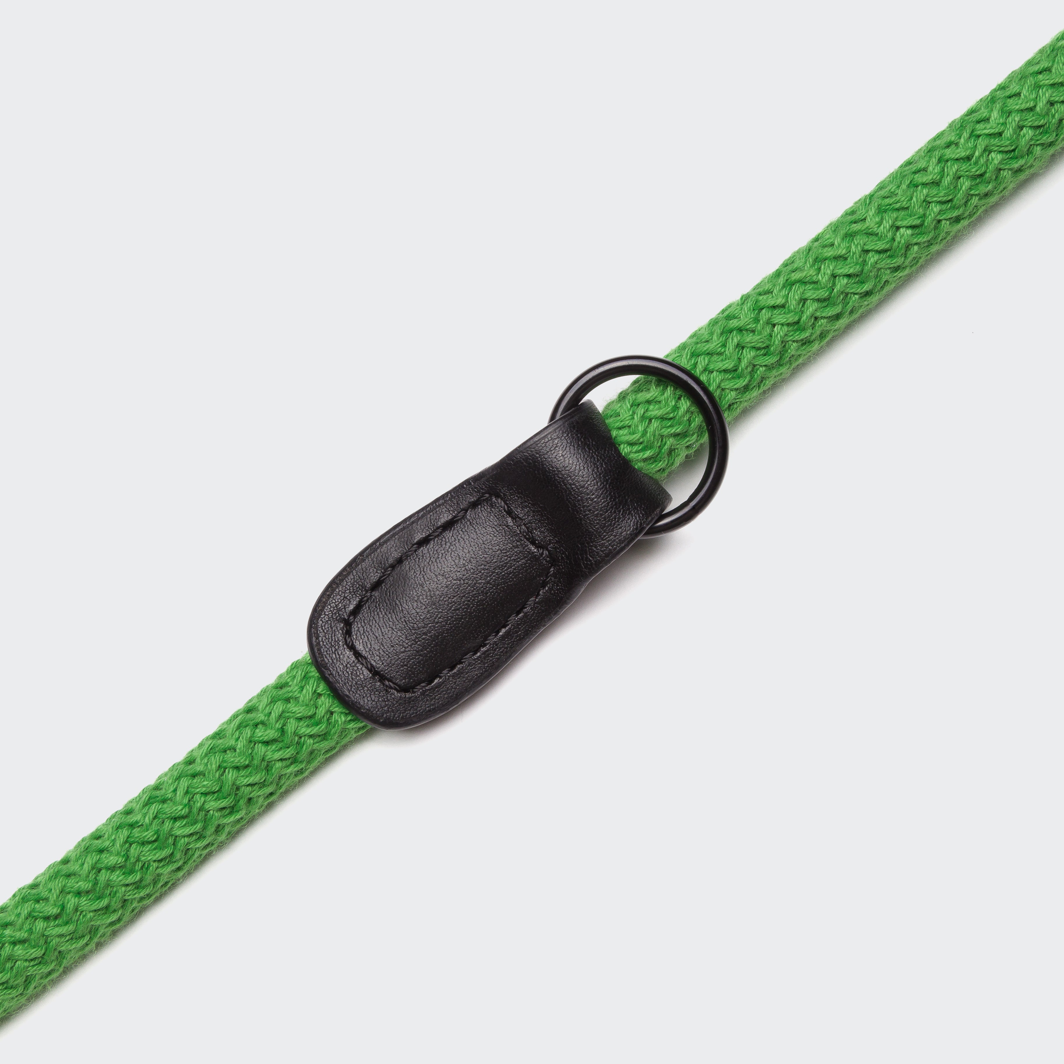 Cloud7: Mauerpark Park Vegan Dog Leash, Grass