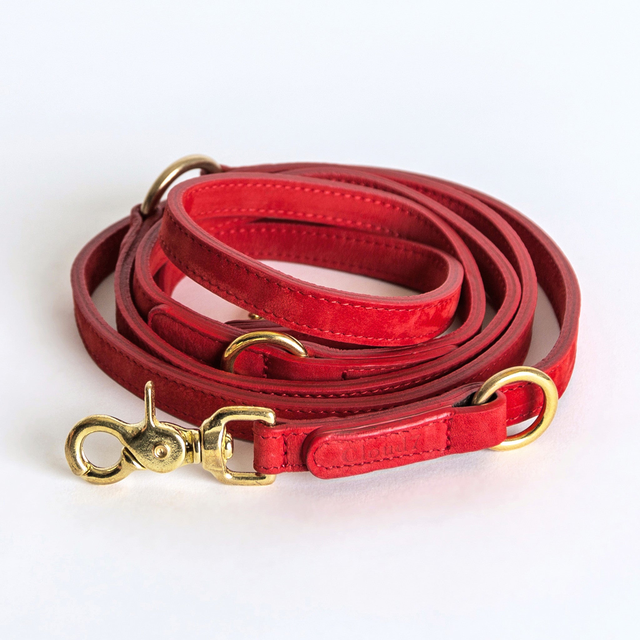 Nice dog leash cheap