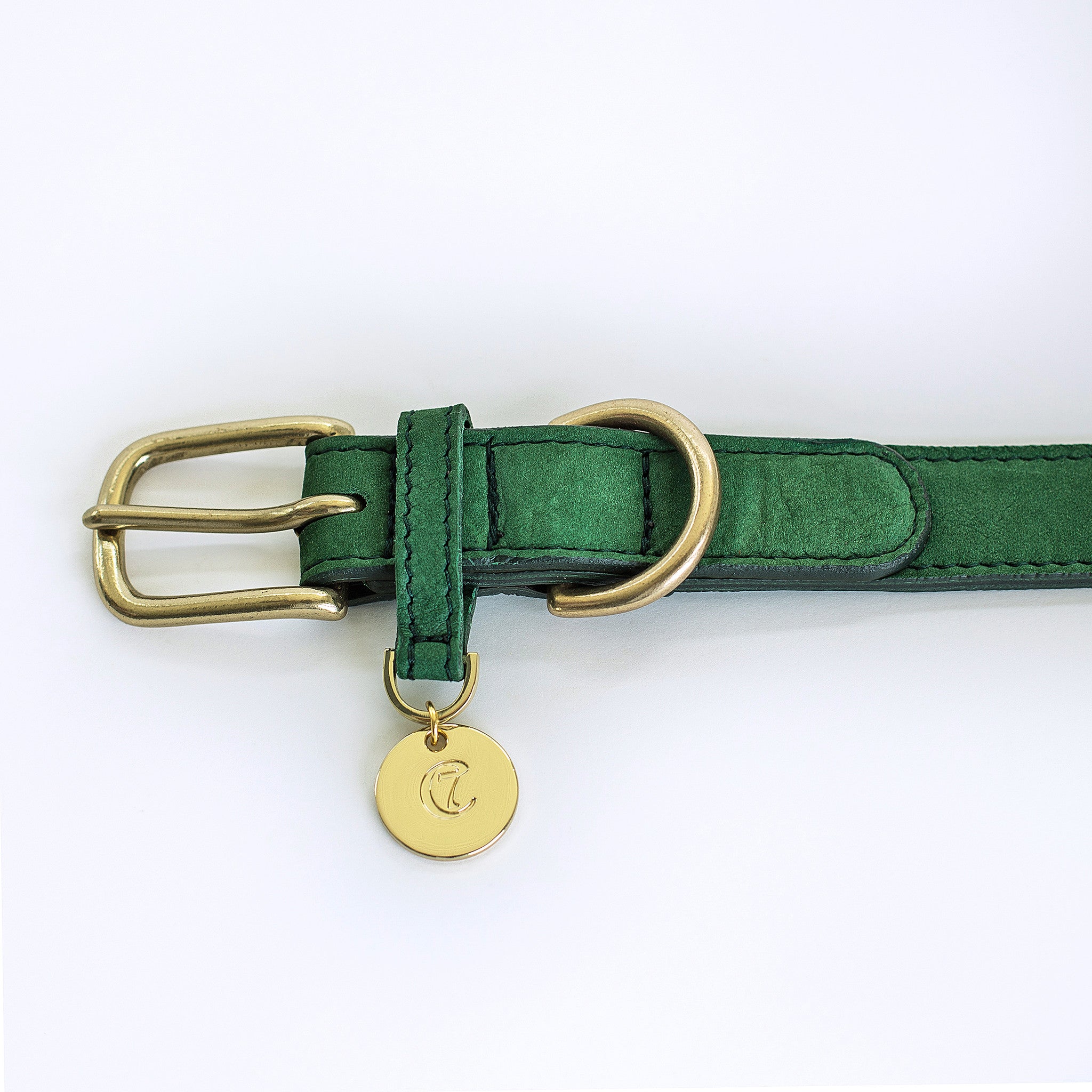 Cloud7 Tiergarten Nubuck Dog Collar in Green