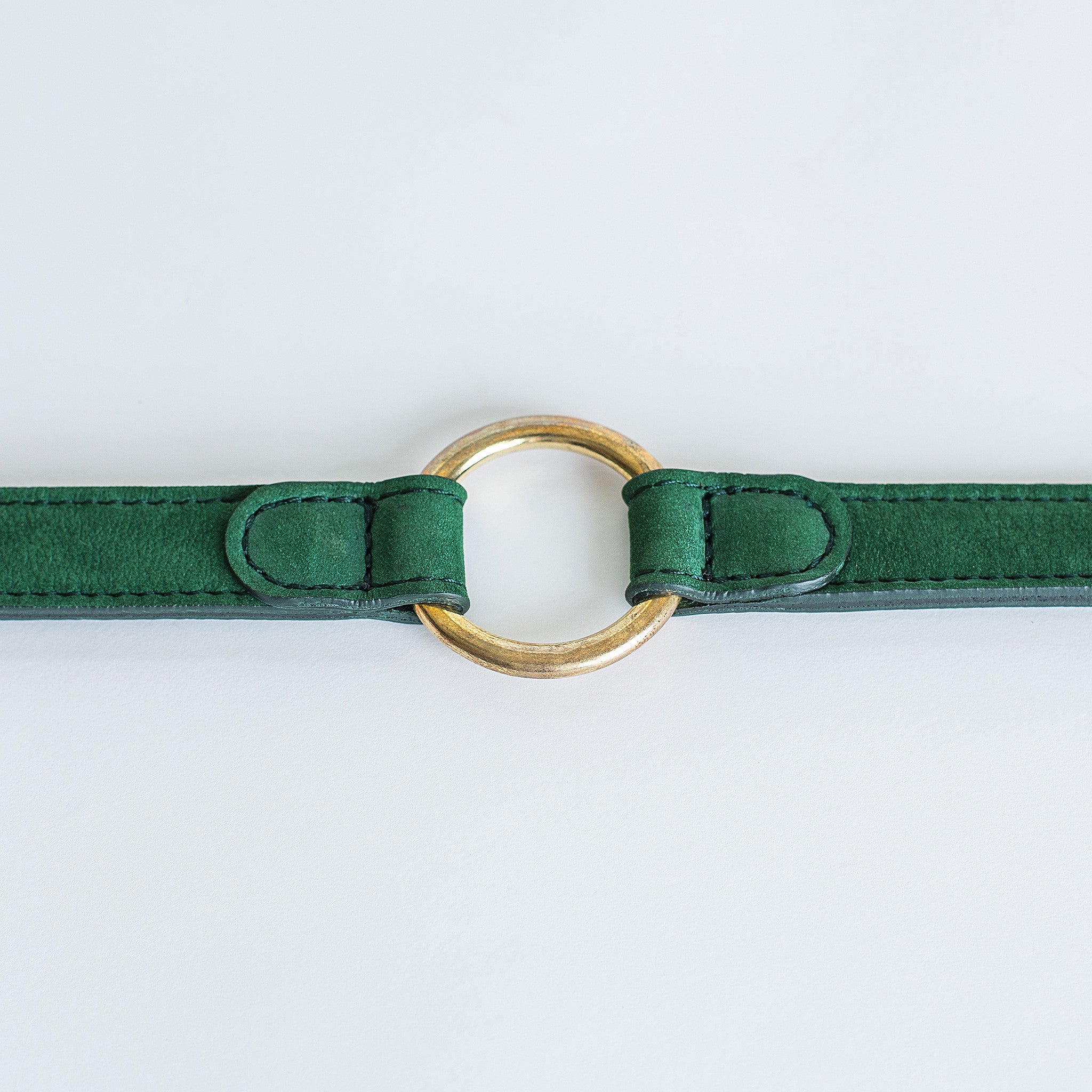 Cloud7 Tiergarten Nubuck Dog Collar in Green
