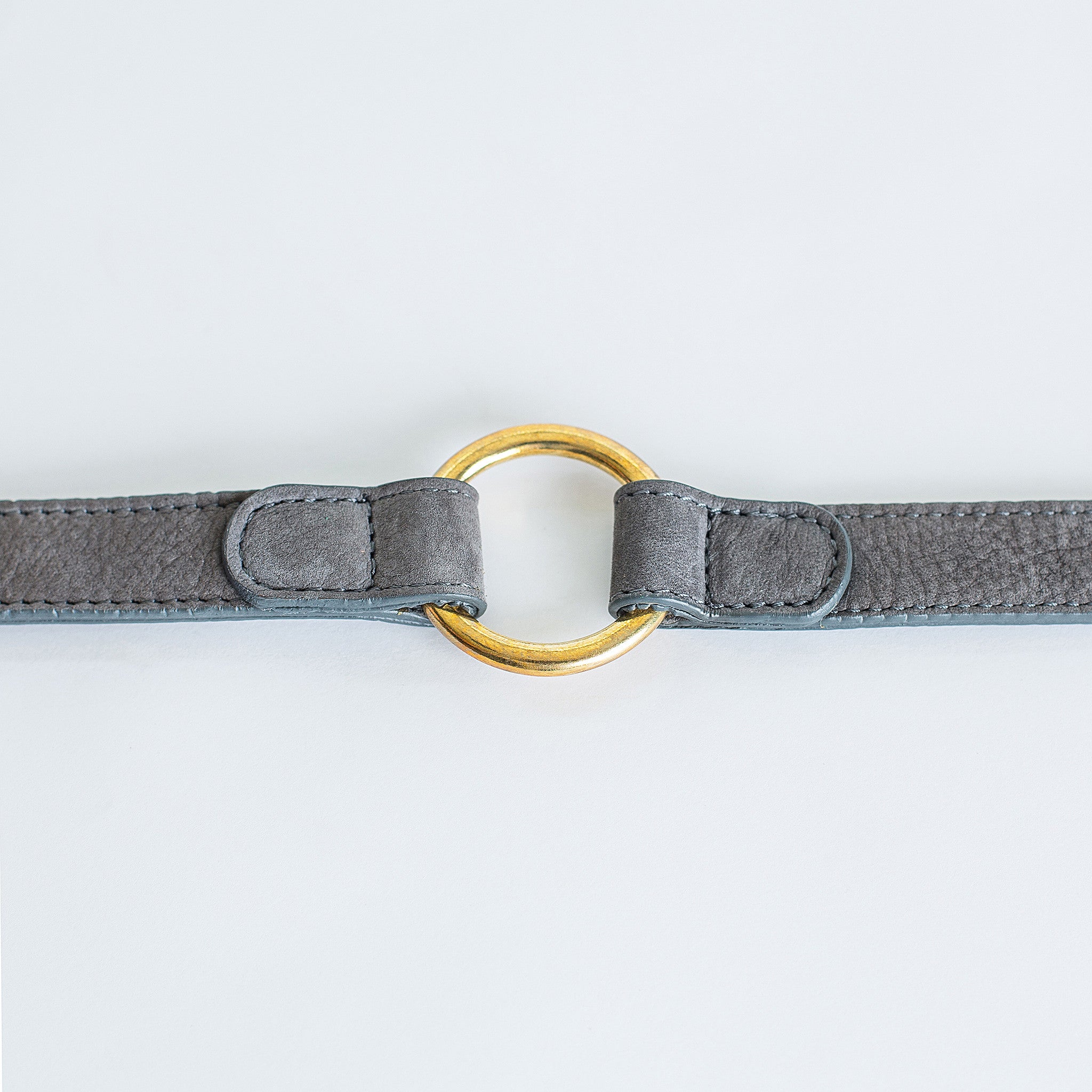 Cloud7 Tiergarten Nubuck Dog Collar in Taupe
