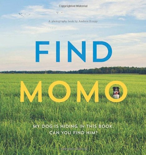 Book: Find Momo