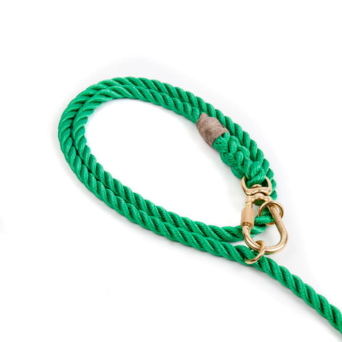 Found My Animal Miami Green Adjustable Dog Leash