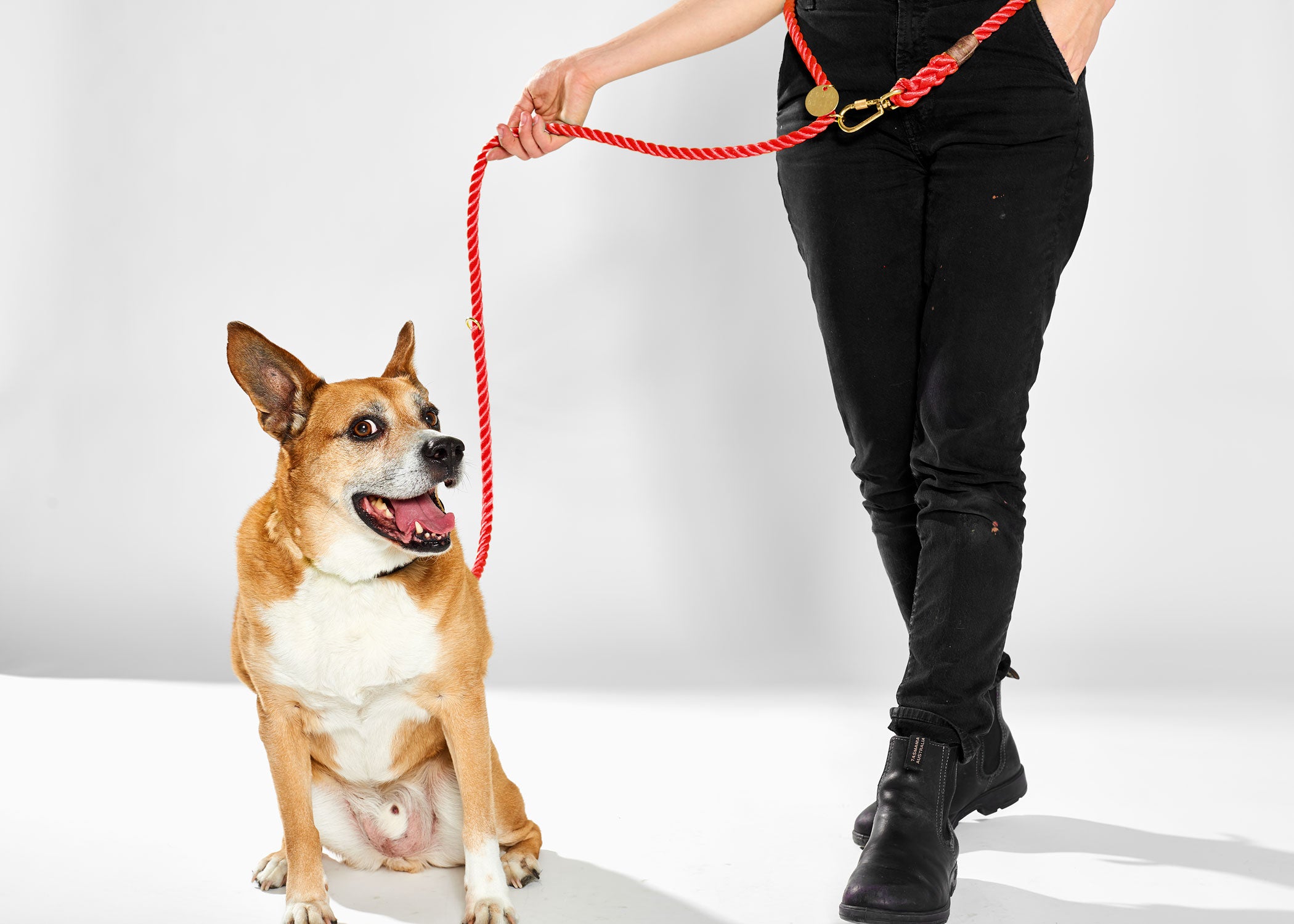 Found My Animal Nylon Adjustable Rope leash Red for Dogs