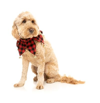 Jester Christmas Collar for Dogs and Cats