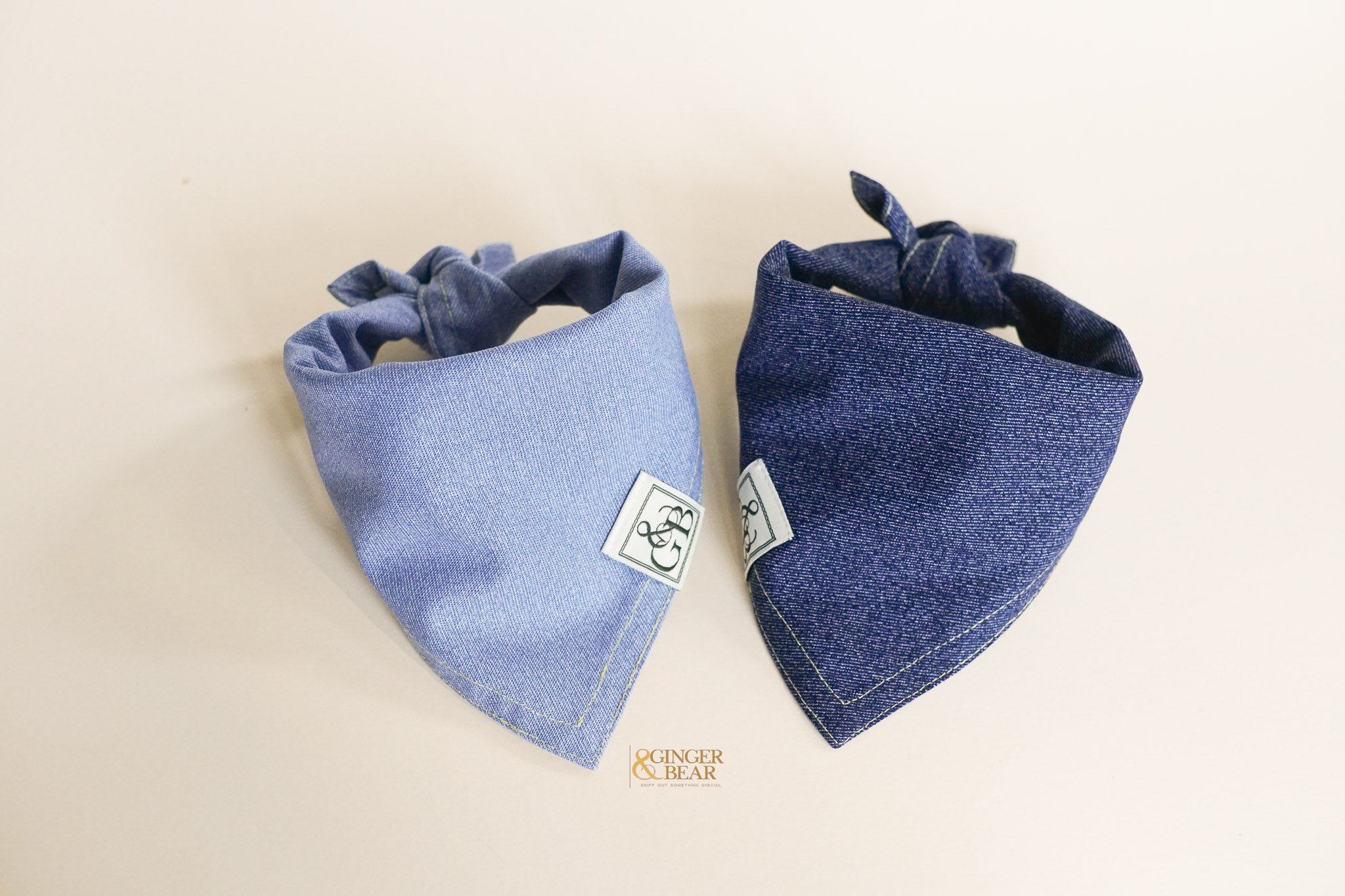 Emily Jean, Dog Bandana