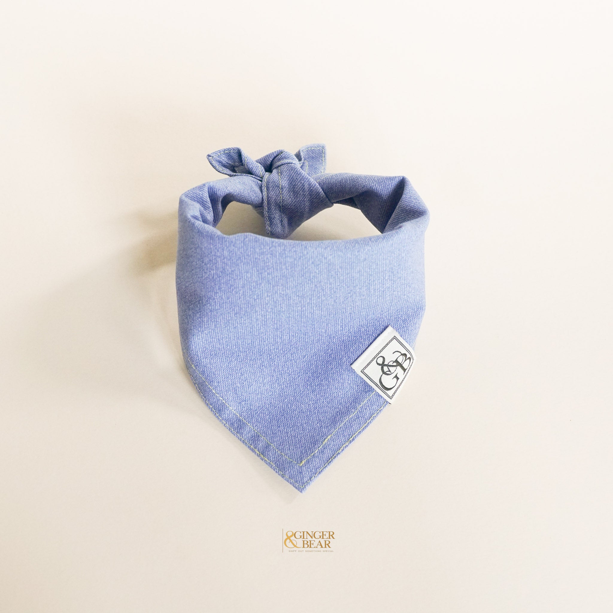 Emily Jean, Dog Bandana