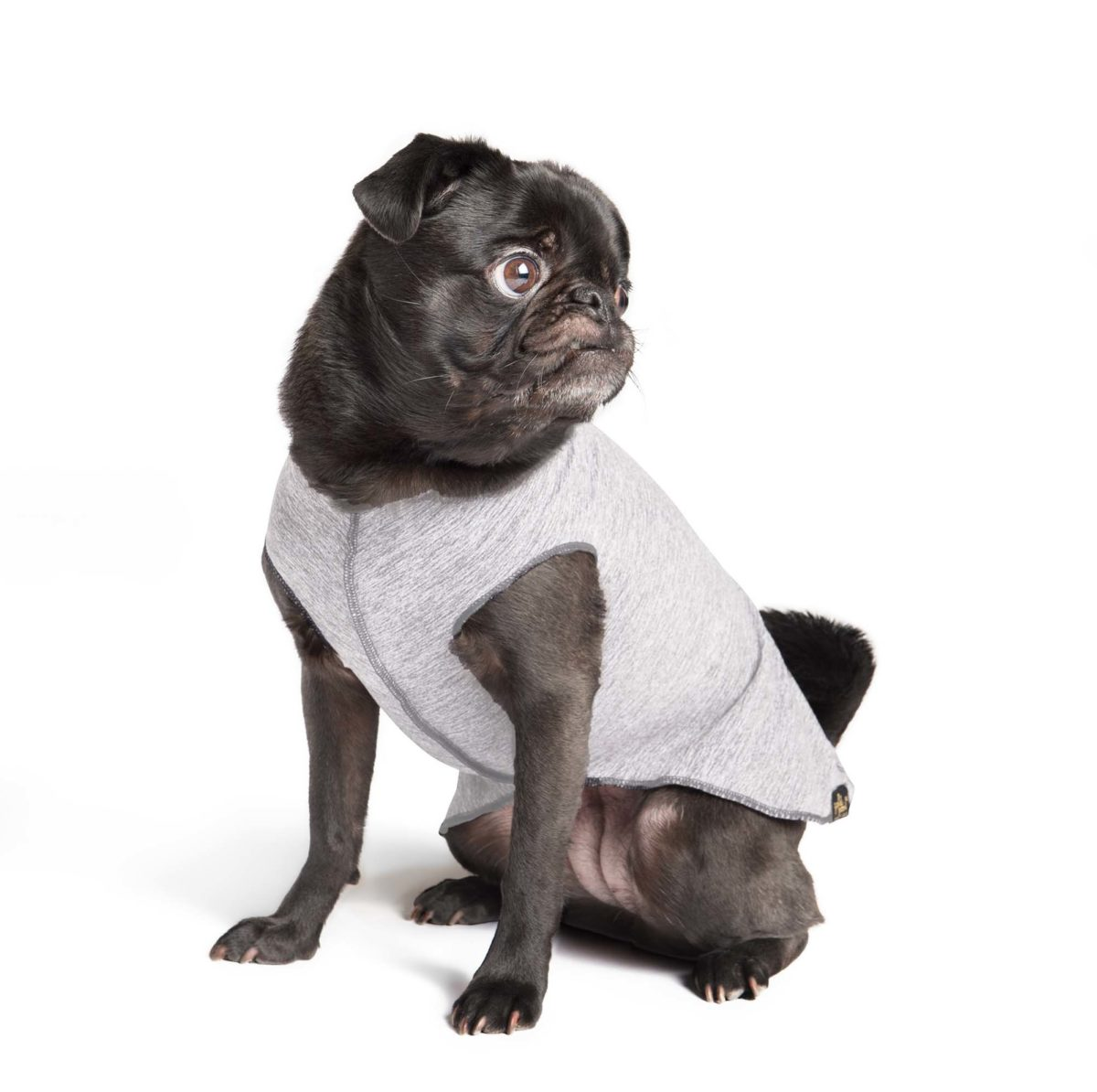 Sun Shield Tee shirts for Dogs and Cats, in Pebble