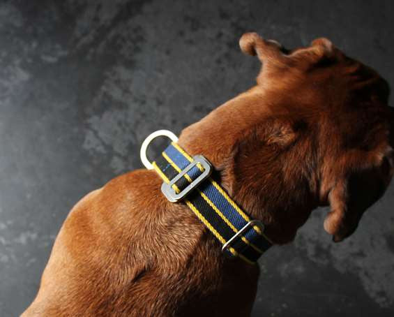 Dog Collar: Weave Fabric