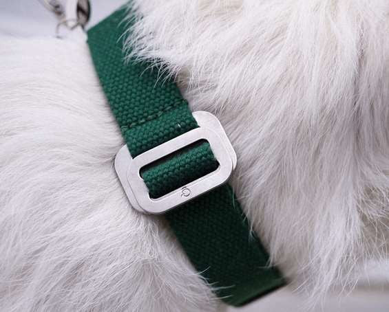 Dog Collar: Weave Cotton