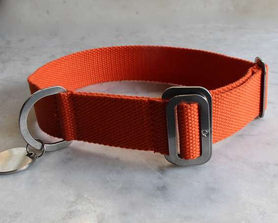 Dog Collar: Weave Cotton