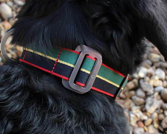 Dog Collar: Weave Fabric