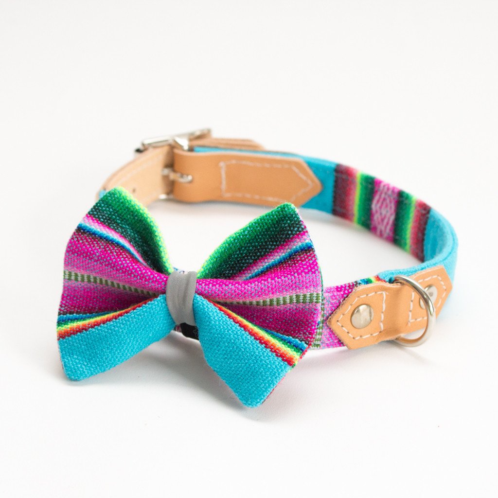Hiro and Wolf Dog Bowtie Inca Blue