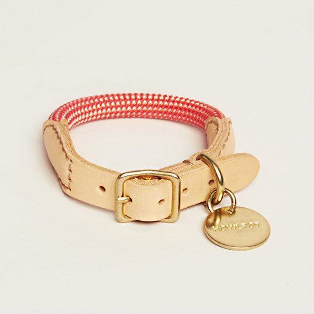 HowlPot We are Tight Rope Dog Collar Coral Aid