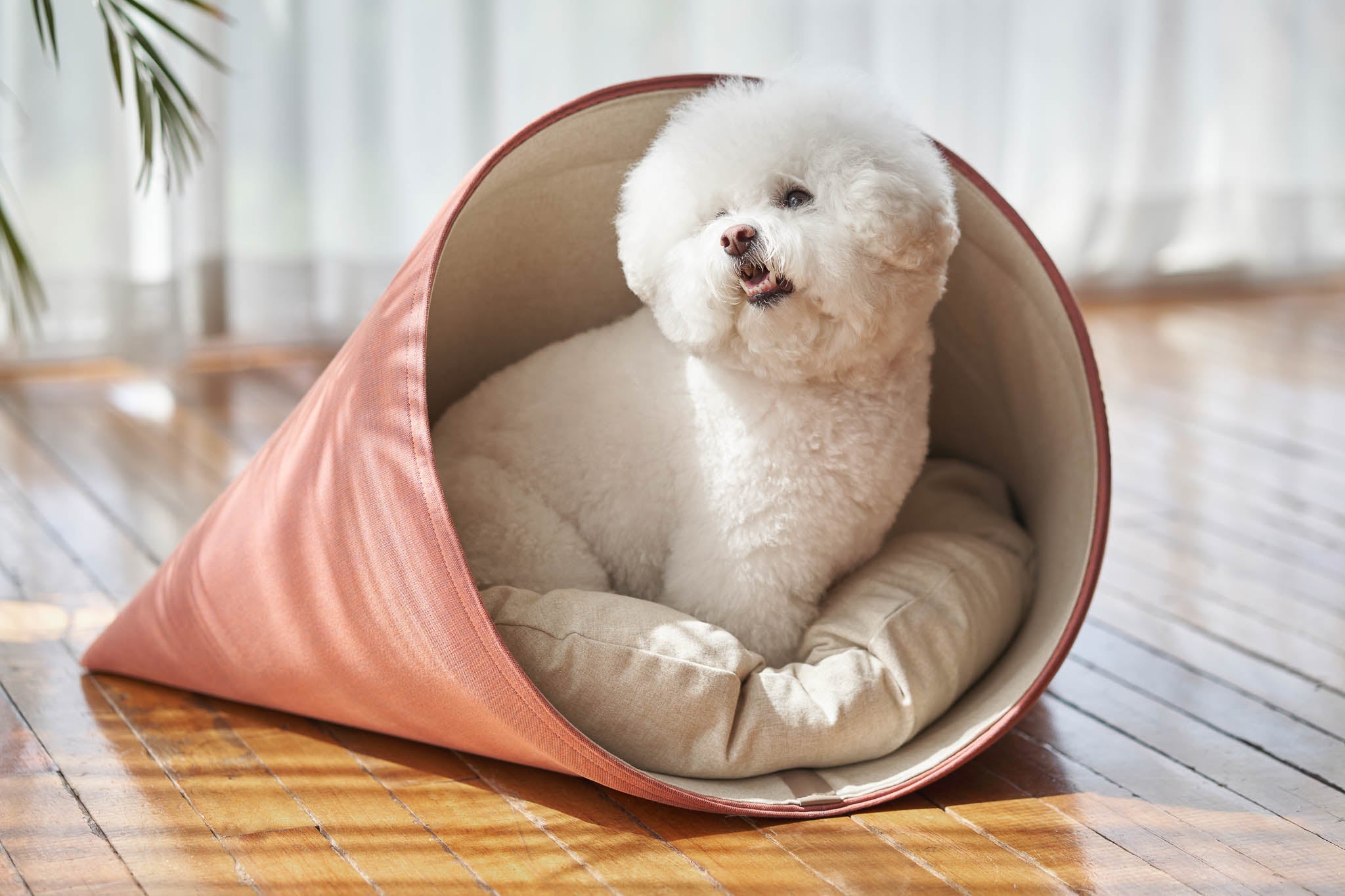 Howly Dog Bed in Red Carrot