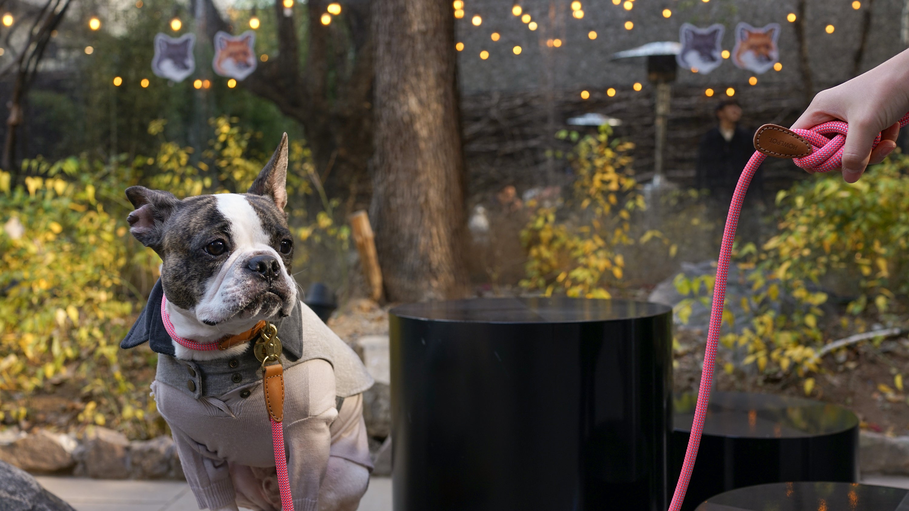 We are Tight: Dog Rope Collar, Flamingo