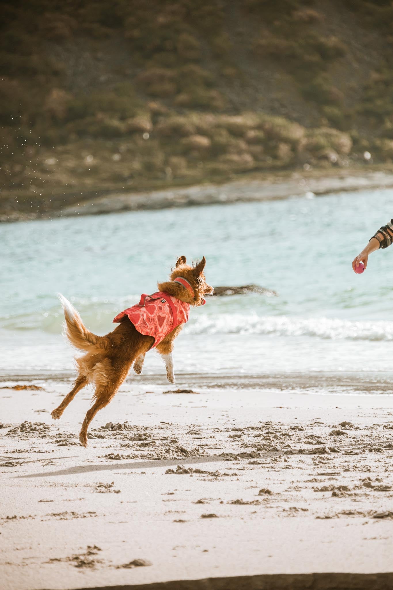 Hurtta Dog Swim Coat: Life Savior Eco