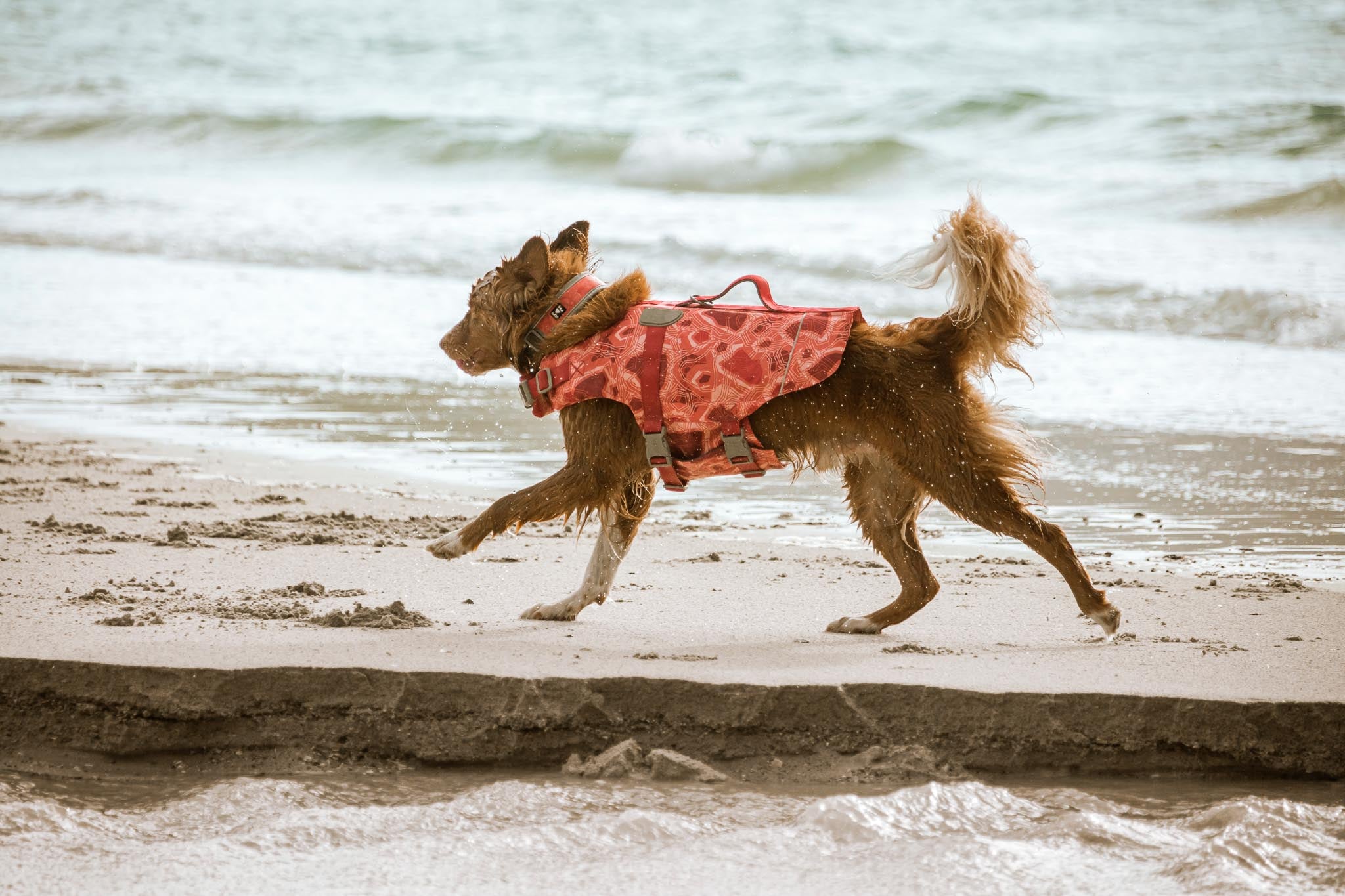 Hurtta Dog Swim Coat: Life Savior Eco