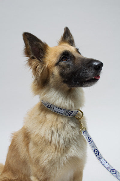 Out of My Box Leash, Navy and Cream