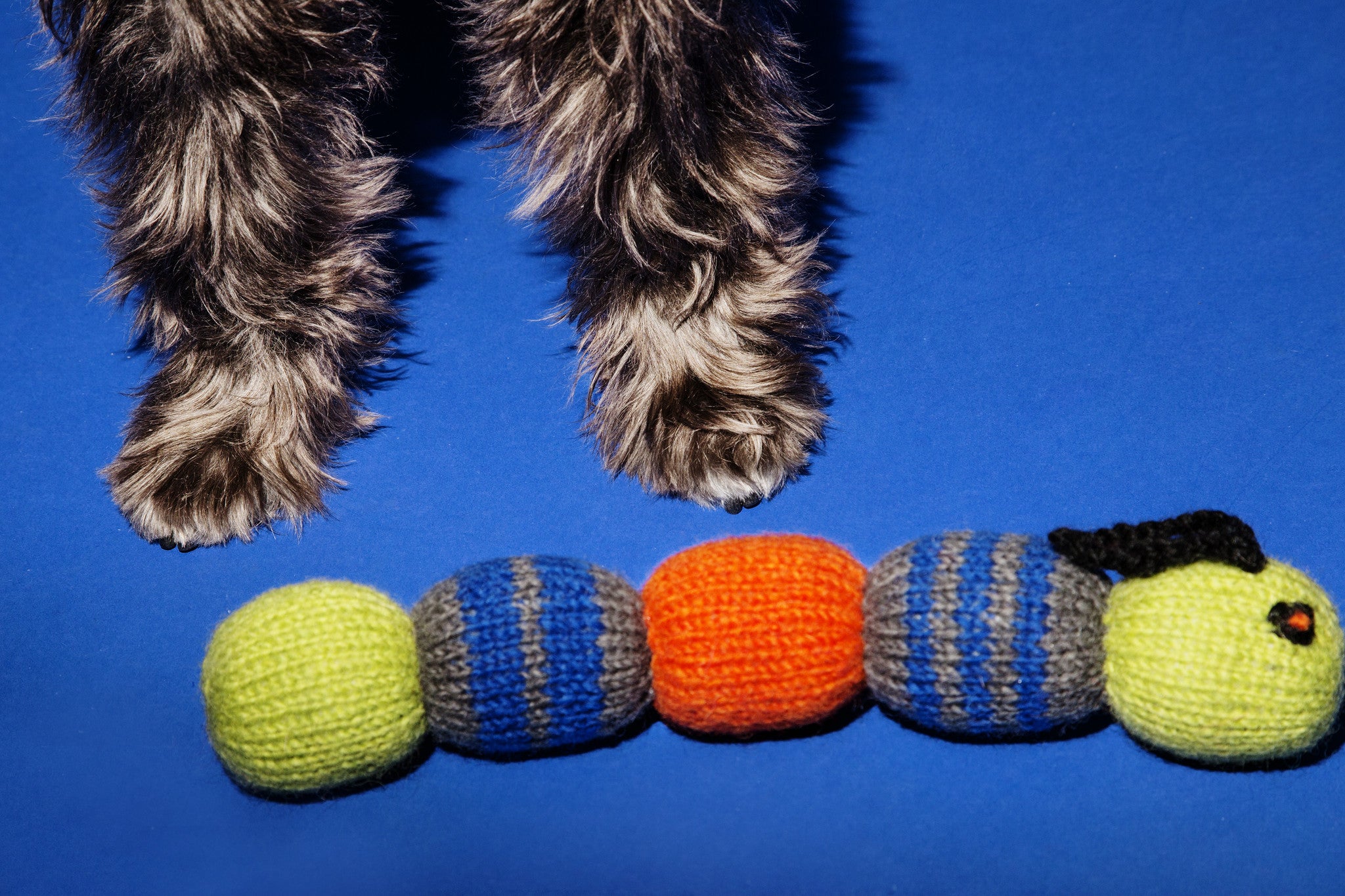 Dog Toy: Hand Knitted Caterpillar