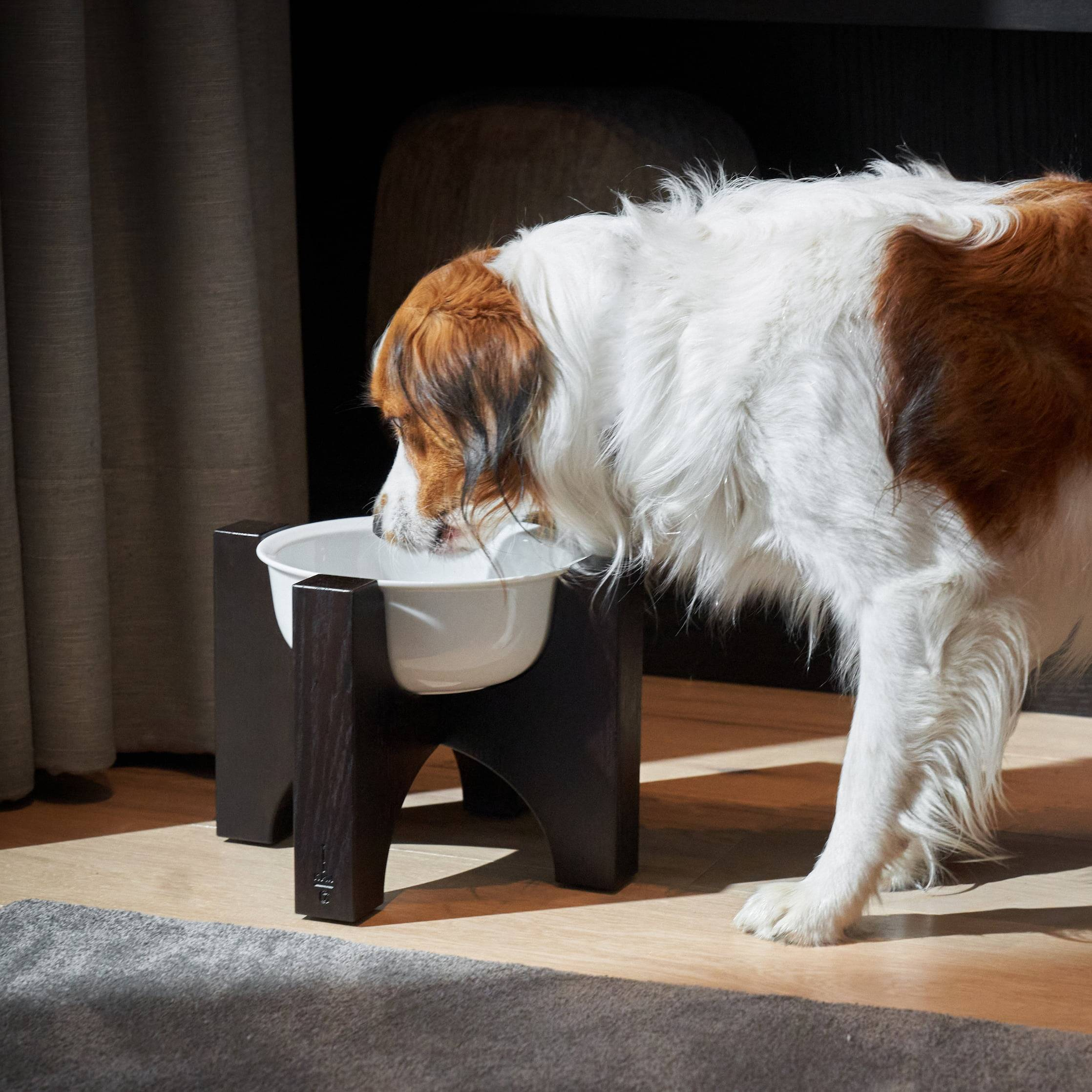 KPM x Cloud7 Dog Food and Water Porcelain Bowl with Oak Stand, Tall Oak