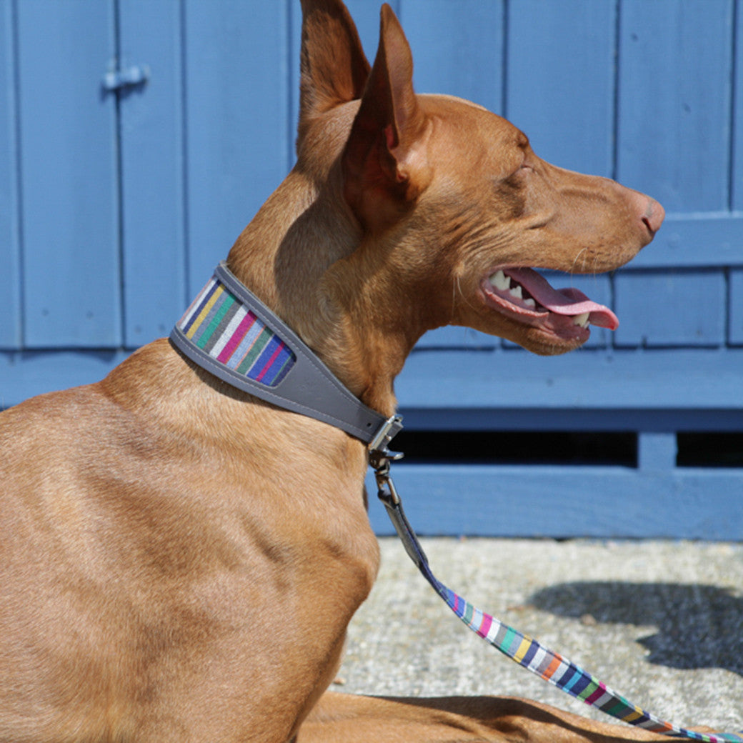 Hiro+Wolf Classic leash: Marine Stripe Kikoy