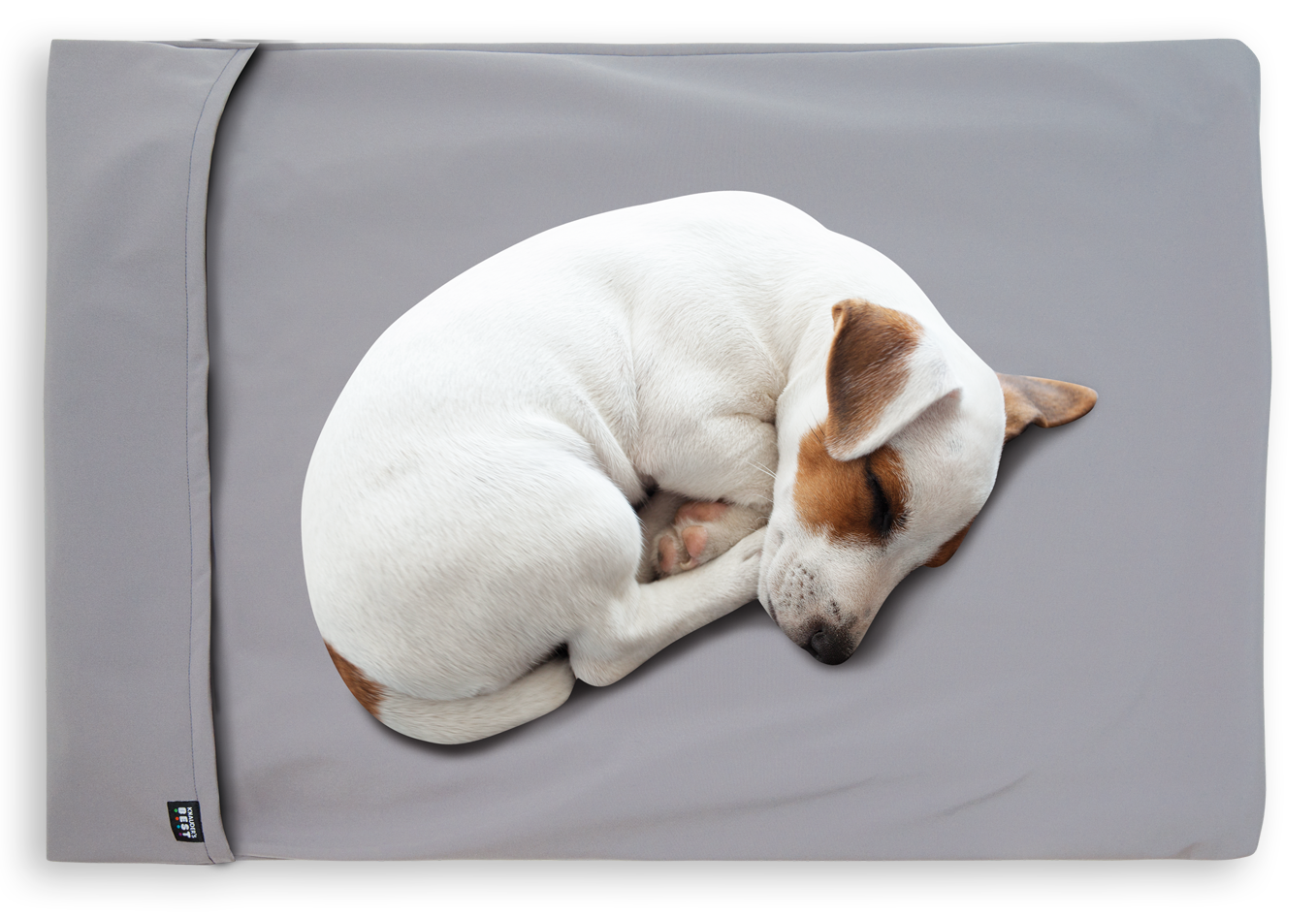 Easy Travel Pad for Dogs and Cats