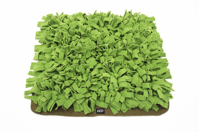 Knauders Best Schnuffelrasen Sniff Lawn for Dogs