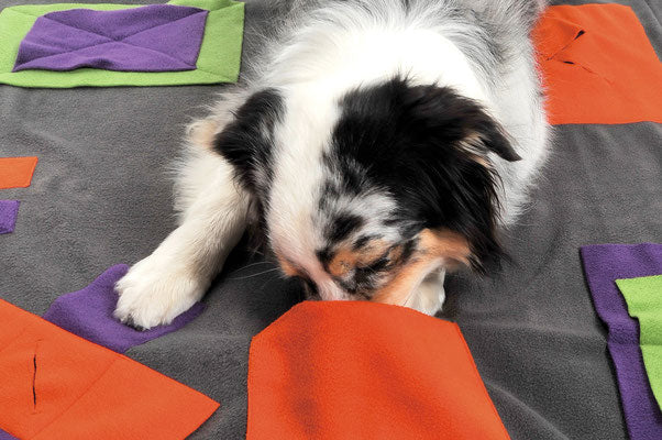 Knauders Best Sniff Pad for Dogs