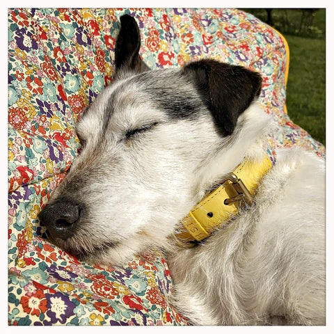 LISH Douglas Dog Duvet