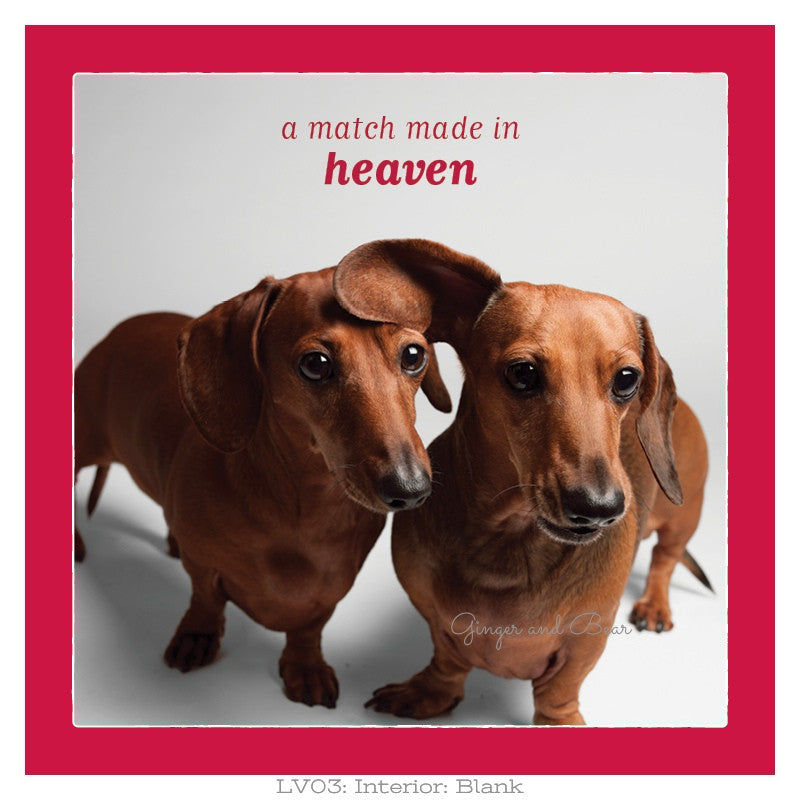 Love: Match Made in Heaven Dachshie Love