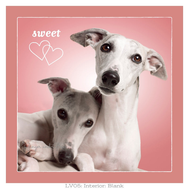 Love: Whippet Sweethearts Love
