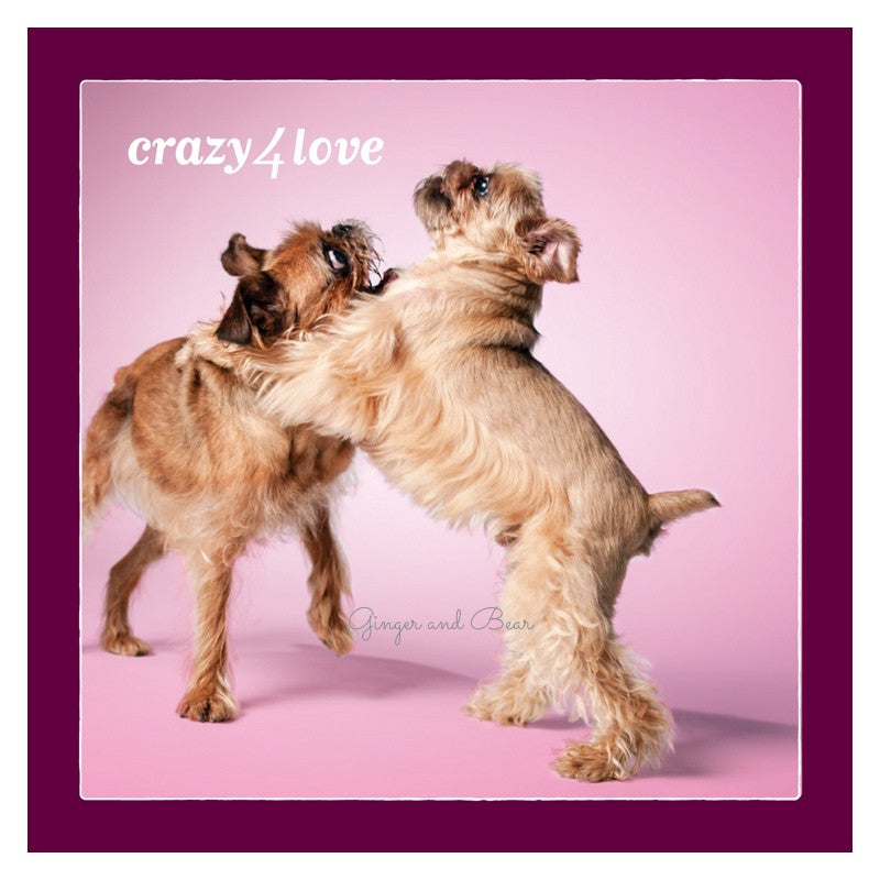 Love: Brussels Griffon