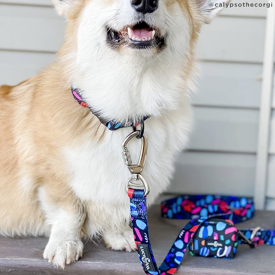 Lucy&Co Dog Collar Singing in the Rain Ginger and Bear