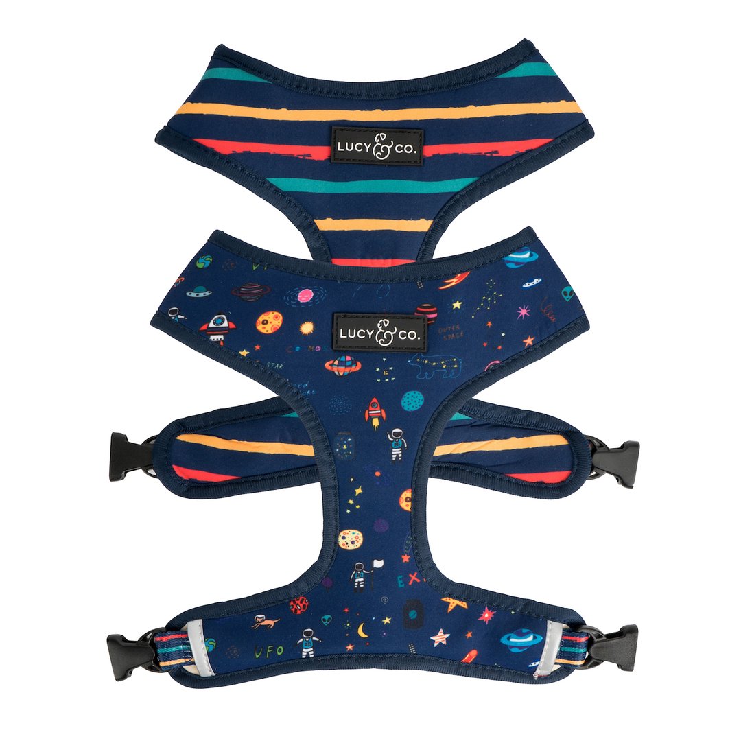 Lucy&Co Reversible Dog Harness: The Space Doodle