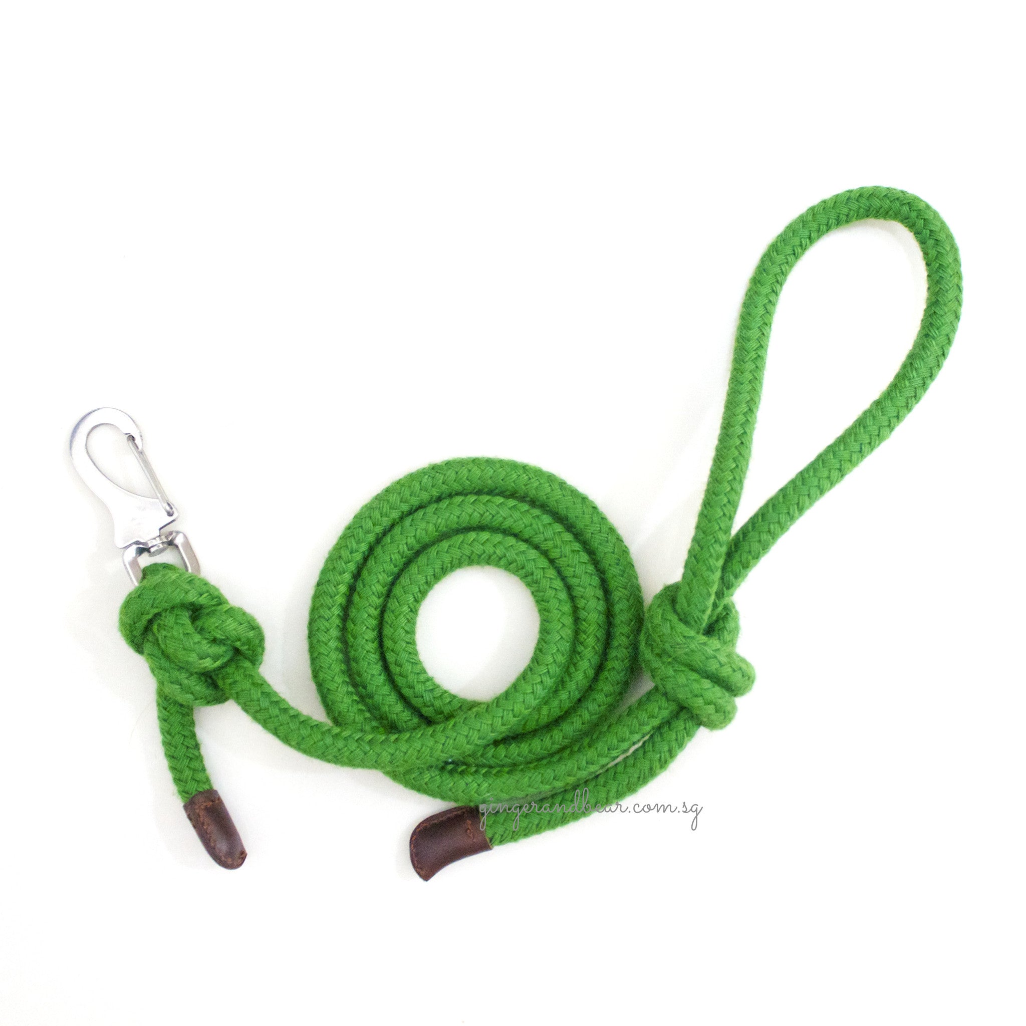 Green rope dog lead hotsell