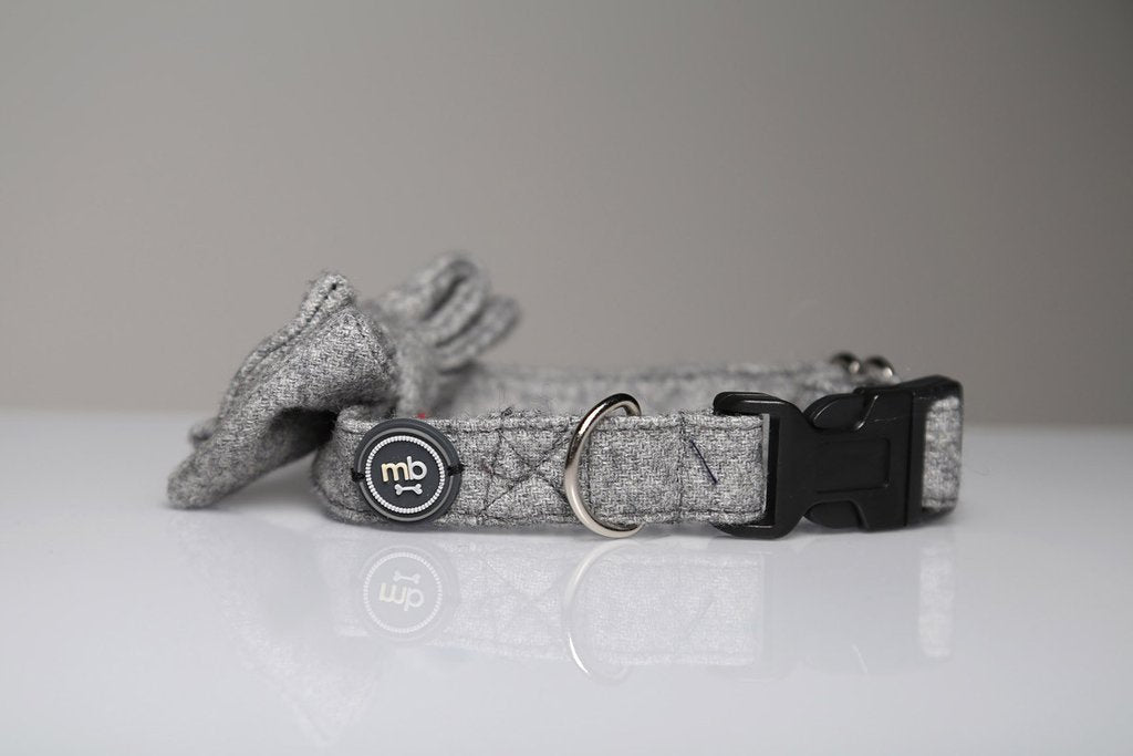 MaxBone Ava Dog Bow Tie