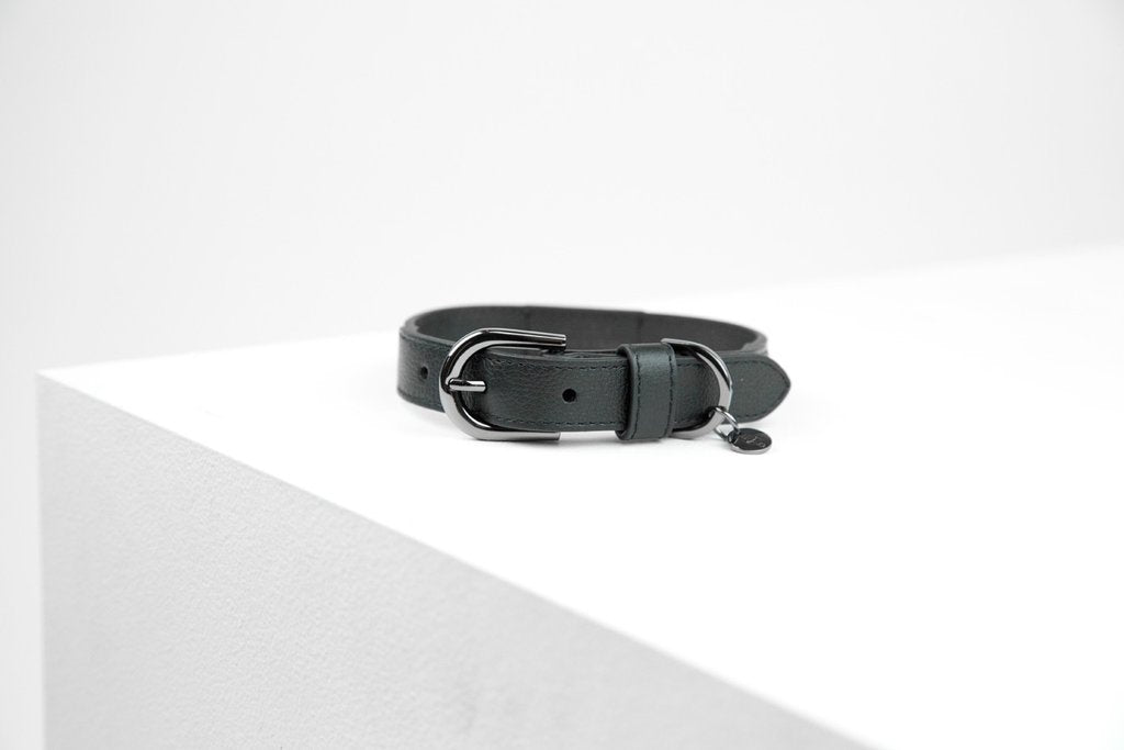 Max bone collar online